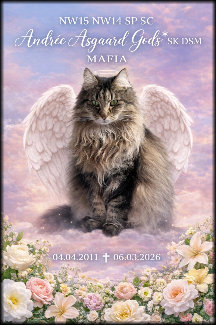 In loving memory ...